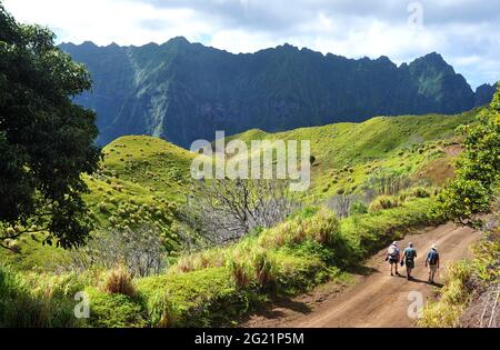 POLINESIA FRANCESE, ISOLE MARQUESAS. ISOLA DI FATU IVA. DA OMOA E HANAVAVE, I DUE VILLAGGI DELL'ISOLA, UNA STRADA DI CIRCA 17 KM DÀ LA V MIGLIORE Foto Stock