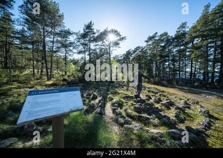 Vecchi cerchi di pietra sull'isola di Mustaviiri, Finlandia Foto Stock