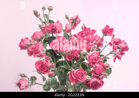 un bouquet di rose rosa pastello su uno sfondo chiaro, un modello per cartoline, tessuti, sfondi Foto Stock