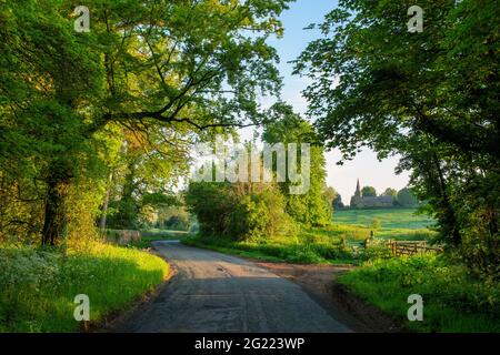 Strada di campagna nella campagna inglese all'alba. Farnborough, Warwickshire, Inghilterra Foto Stock