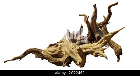 driftwood, cumulo di legno invecchiato isolato su sfondo bianco Foto Stock