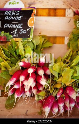 Ravanelli in vendita al mercato domenicale di Cazals Foto Stock