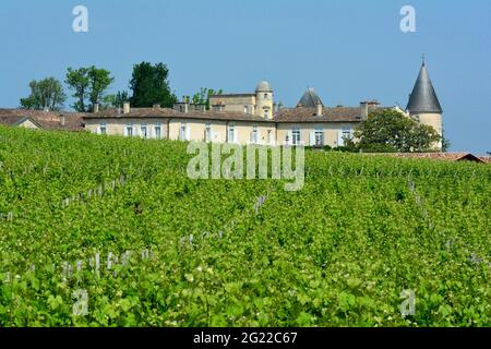 FRANCIA. NOUVELLE-AQUITAINE. GIRONDE (33). PAUILLAC. IL CHATEAU LAFITE-ROTHSCHILD, PRIMO CLASSIFICATO VINO NEL 1855 COME UN GRAND CRU. Foto Stock