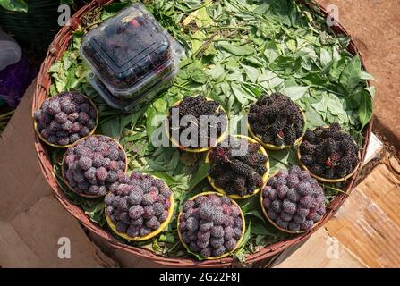 Vista dall'alto di lamponi viola appena raccolti, Robus Odoratus e more, in contenitori di plastica esposti in cesto di bambù per la vendita Foto Stock