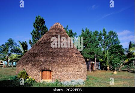 NUOVA CALEDONIA. ARCIPELAGO DELLA LEALTÀ. ISOLA DI LIFOU. UNA SHANTY MELANESIANA Foto Stock