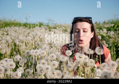 La ragazza soffia i semi fuori dai dandelioni. Foto Stock