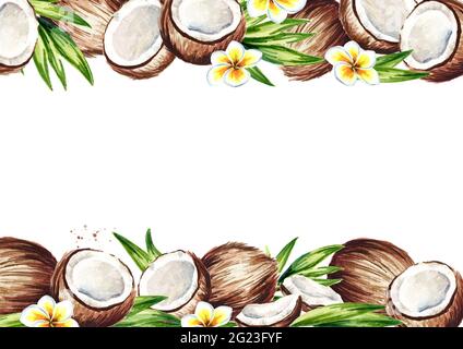 Cocco sfondo. Illustrazione disegnata a mano con acquerello Foto Stock