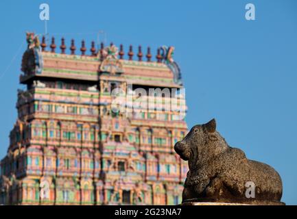 Un punto di vista sul Tempio Thillai Nataraja, Chidambaram Foto Stock