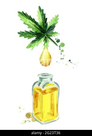 Olio naturale di canapa. Acquerello disegnato a mano Foto Stock