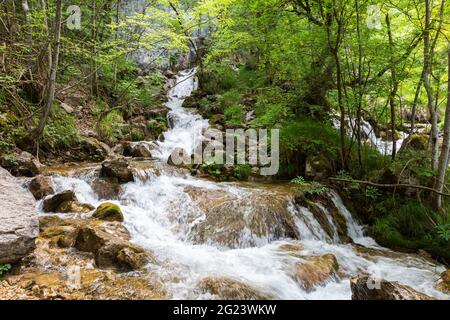 Cascata in Abruzzo. Zompo lo Schioppo Foto Stock