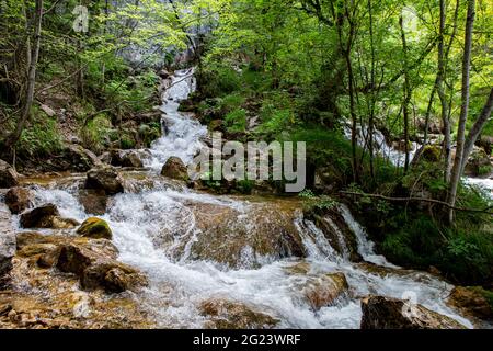Cascata in Abruzzo. Zompo lo Schioppo Foto Stock