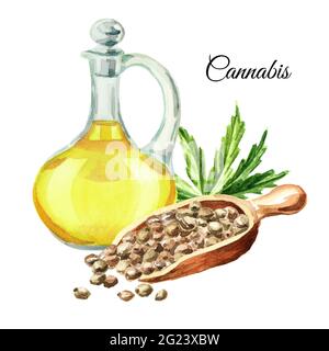 Olio di canapa, semi e foglie di cannabis, pianta di erbe medicinali. Illustrazione di acquerello disegnata a mano isolata su sfondo bianco Foto Stock