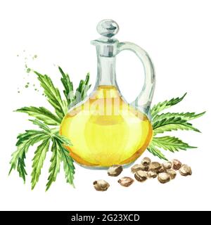 Olio di canapa, semi e foglie di cannabis, pianta di erbe medicinali. Illustrazione di acquerello disegnata a mano, isolata su sfondo bianco Foto Stock