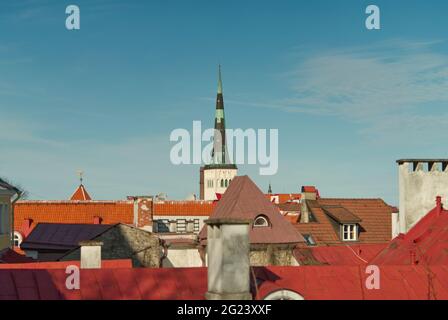 Vista panoramica dalla piattaforma di osservazione Kohtuotsa, Estonia. Tetti della città vecchia, torre della chiesa e nuova architettura. Sole primavera giorno Foto Stock