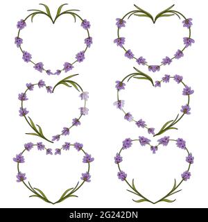 Insieme di vettore cuore di fiori di lavanda. Oggetti isolati su bianco. Illustrazione Vettoriale