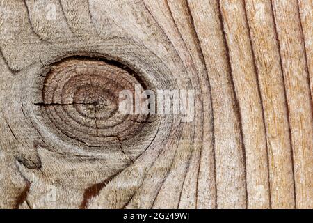 Closeup di Knothole in una recinzione di legno di pino che mostra dettagli astratti, motivi e texture. Foto Stock