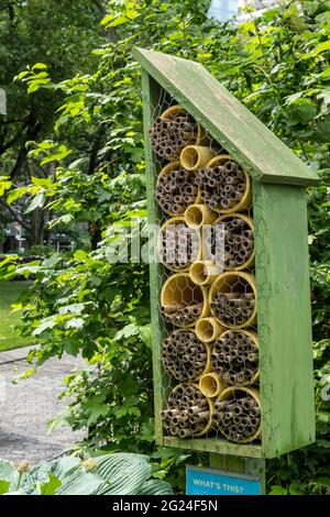 Bee House a Madison Square Park, New York City, Stati Uniti Foto Stock