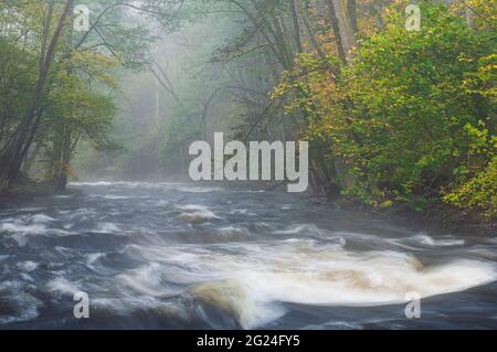 Acqua che scorre in fiume nebby Foto Stock