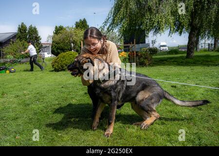 Una ragazza adolescente sta giocando con un felice cucciolo di pastore tedesco di sei mesi. Erba verde e cielo blu sullo sfondo. Linea di lavoro razza Foto Stock