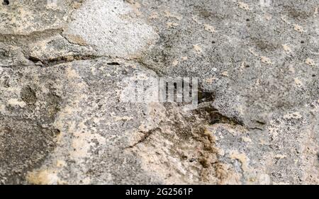 Dombauhütte è uno scalemasone specializzato nel restauro della Cattedrale di Ratisbona Foto Stock