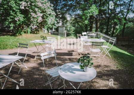 Fiori verdi sul tavolo bianco in un bar ristorante all'aperto in natura circondato da alberi e foglie verdi a Oslo Norvegia Foto Stock