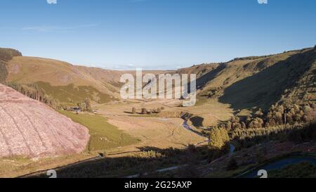 Vista aerea di un terreno boschivo naturale di recente sgusciato dalle risorse naturali del Galles, Abergwesyn Valley, Galles, Regno Unito Foto Stock