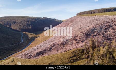 Vista aerea di un terreno boschivo naturale di recente sgusciato dalle risorse naturali del Galles, Abergwesyn Valley, Galles, Regno Unito Foto Stock
