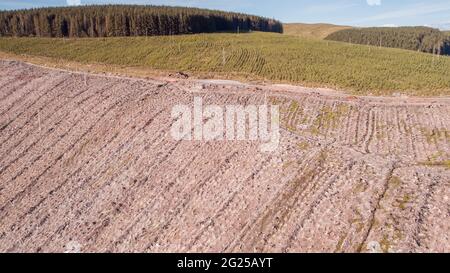 Vista aerea di un terreno boschivo naturale di recente sgusciato dalle risorse naturali del Galles, Abergwesyn Valley, Galles, Regno Unito Foto Stock