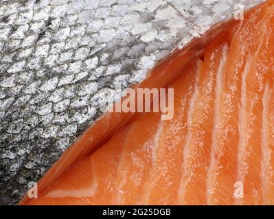 dettaglio primo piano di salmone affettato, fondo di pelle d'argento e carni fresche strutturate di pesce di salmone Foto Stock