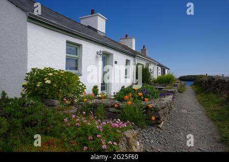 Vecchi pescatori`s Cottages, Amlwch. Foto Stock