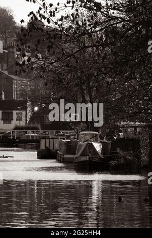 Chiatte e imbarcazioni da diporto ormeggiate a Rodley sul canale Leeds & Liverpool nello Yorkshire occidentale Foto Stock