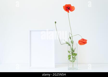 Immagine vuota bianco mockup cornice. Vaso di vetro con bellissimi fiori di papavero selvatico su tavolo bianco. Vivace e allegra scena di vita still estiva. Buon giorno Foto Stock