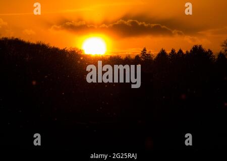 Tramonto luminoso che splende attraverso i fiocchi di neve che cadono sopra una foresta scura Foto Stock