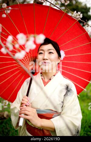 Donna kimono e fiori di ciliegio Foto Stock