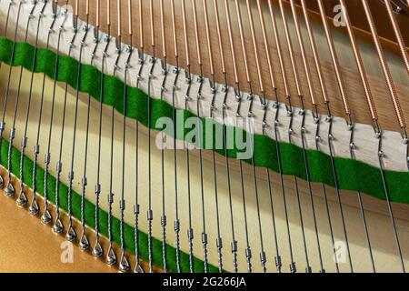 Corde e pioli di sintonizzazione con feltro da un pianoforte a coda Foto Stock