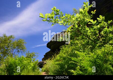 Vista dalla cresta di arenaria della collina di Helsby , prendendo nel fiume Mersey, pendio di cicatrice di cresta e la planarità circostante della pianura di Cheshire. Foto Stock