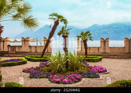 Malcesine città vecchia sulla riva del lago di Garda in provincia di Verona, Italia Foto Stock