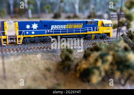 Pacific National treni su una ferrovia modello Foto Stock