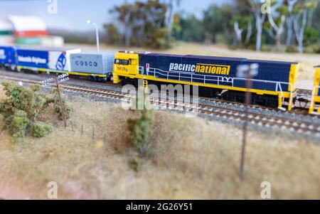 Pacific National treni su una ferrovia modello Foto Stock