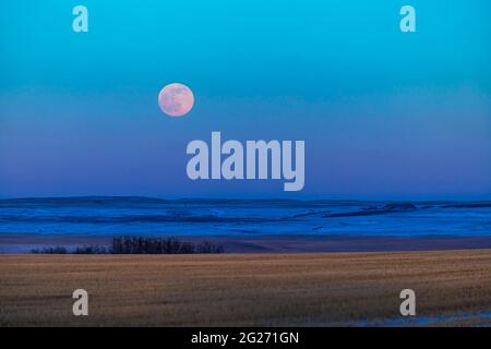 La luna piena in aumento sopra la prateria Alberta in Canada. Foto Stock