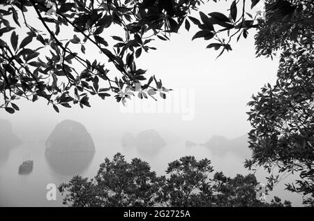 Vista della nebbia marina di prima mattina dall'isola di Dao Titop, Halong Bay, Vietnam Foto Stock