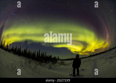 Stargazer sotto l'aurora borealis a Churchill, Manitoba, Canada. Foto Stock