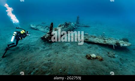 Tuffati esplorando il Mitsubishi Zero Wreck, Kimbe Bay, Papua Nuova Guinea. Foto Stock