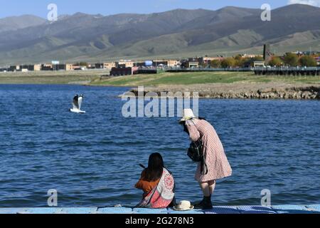 (210609) -- XINING, 9 giugno 2021 (Xinhua) -- i turisti si godono nel punto panoramico Erlangjian del lago Qinghai nella provincia Qinghai della Cina nord-occidentale, 4 giugno 2021. Situato nella parte nord-orientale dell'altopiano Qinghai-Tibet, il lago Qinghai è fondamentale per mantenere l'equilibrio ecologico nella Cina occidentale. Si tratta inoltre di una barriera naturale per il controllo della diffusione verso est della desertificazione e per garantire la sicurezza delle aree agricole nella Cina orientale. Negli ultimi anni, il governo cinese ha attuato diversi progetti ecologici nel bacino del lago Qinghai, e ha raggiunto notevoli risultati Foto Stock