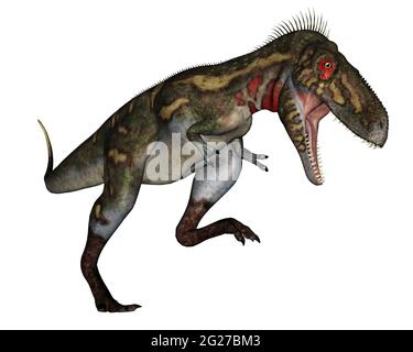 Nanotyrannus dinosauro ruggito, isolato su sfondo bianco. Foto Stock