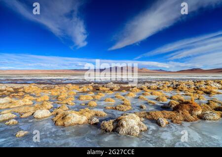 Vista panoramica del Salar de Tara in Cile. Foto Stock