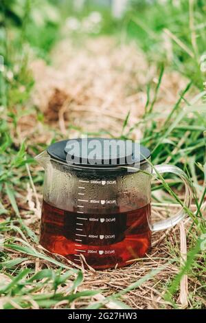 tè nero in una teiera trasparente su erba verde. Tè caldo sano in natura. Teiera primo piano. Condensa sul bicchiere. Tè rinfrescante. Foto Stock