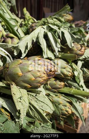 Vista ravvicinata dei carciofi verdi presso il mercato agricolo locale In Sicilia Foto Stock