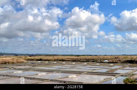 Saline di Guerande, comune francese situato nel dipartimento della Loira Atlantica famoso per la produzione di sale che viene ancora raccolto a mano Foto Stock