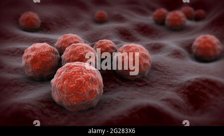 Illustrazione biomedica della clamidia sulla superficie. Foto Stock